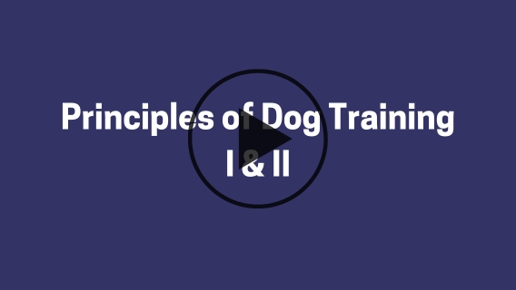 Principles of Dog Training I & II