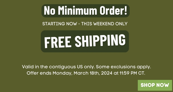 Free Shipping Starts Now! 
