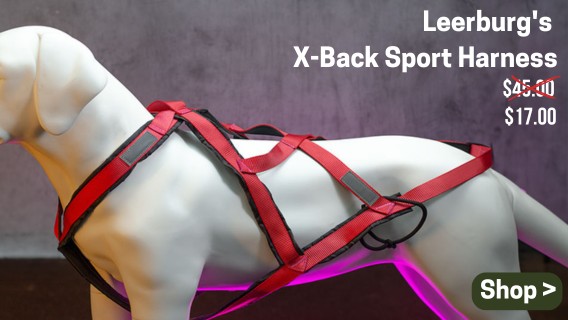 Leerburg's X-Back Sport Harness