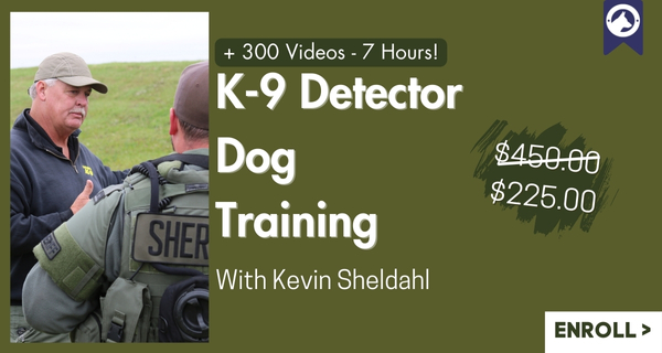 K-9 Detector Dog Training