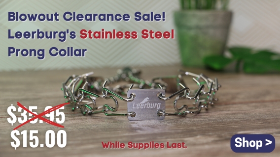 Leerburg's Stainless Steel Prong Collar