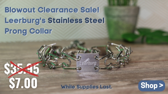Leerburg's Stainless Steel Prong Collar