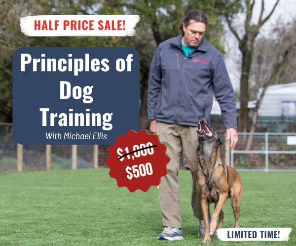 Principles of Dog Training