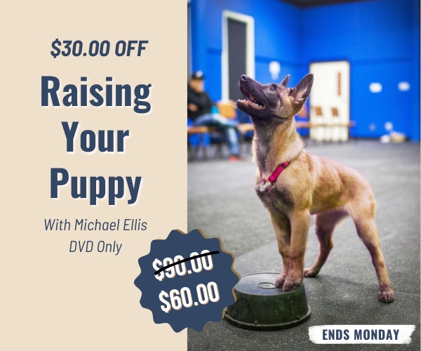 $30.00 Off Raising Your Puppy