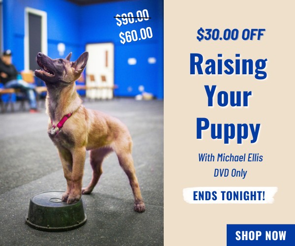 $30 off Raising Your Puppy DVD with Michael Ellis