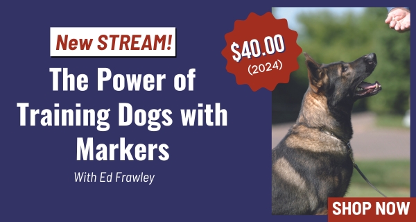 New Stream! The Power of Training Your Dog with Markers (2024)