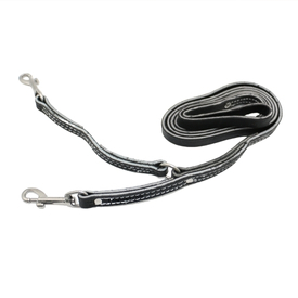 1/2in Prong Collar Leash - 6ft