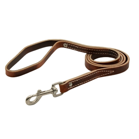 6 foot x 3/4in Prong Collar Leash - SS clasps