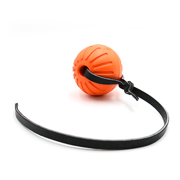 Foam Ball with Leather Strap
