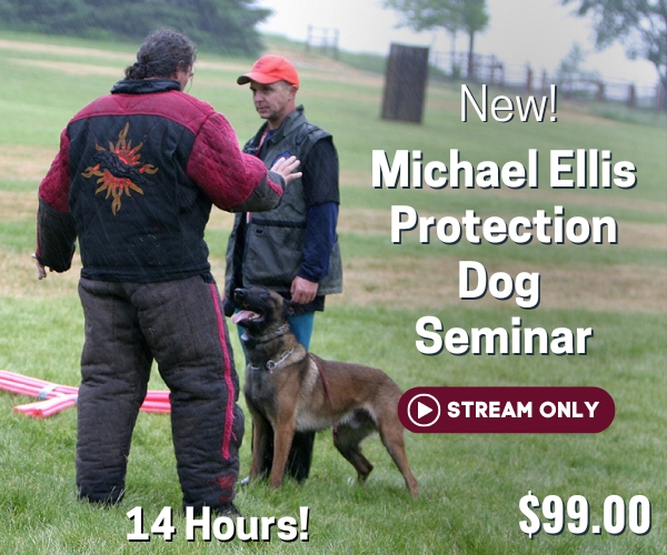 Michael Ellis Protection Dog Seminar