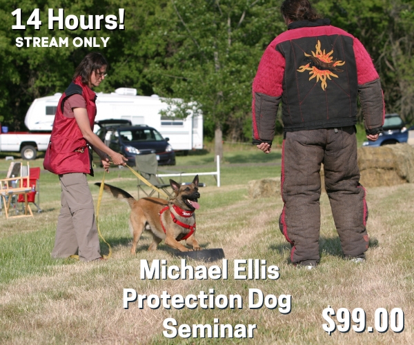 Michael Ellis Protection Dog Seminar