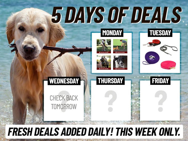 5 Days of Deals