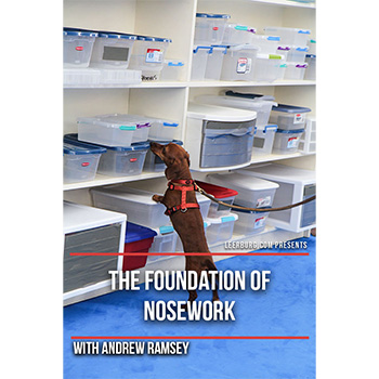 The Foundation of Nosework with Andrew Ramsey