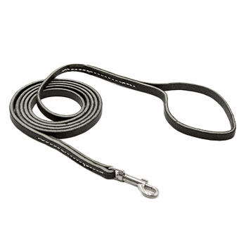 3/8in Leather Puppy Leash