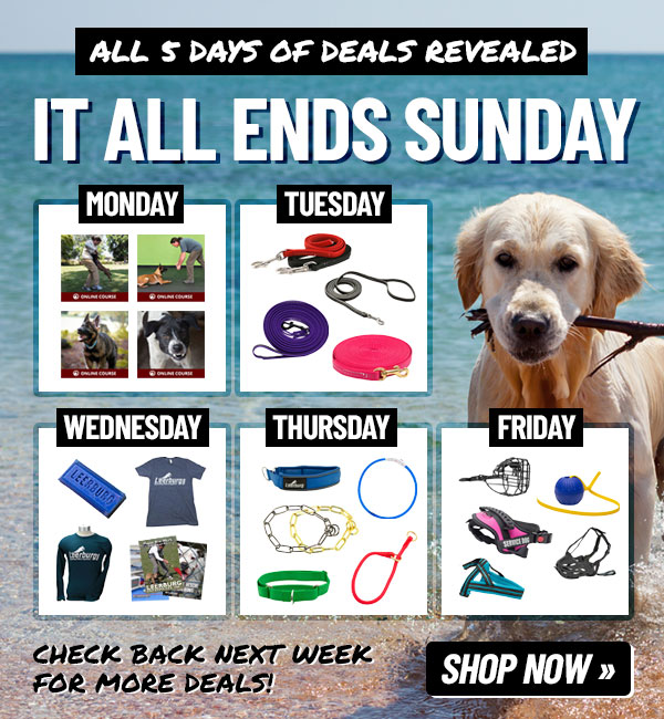 5 Days of Deals