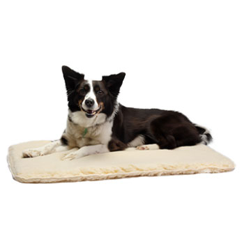 Orthopedic Pet Bed