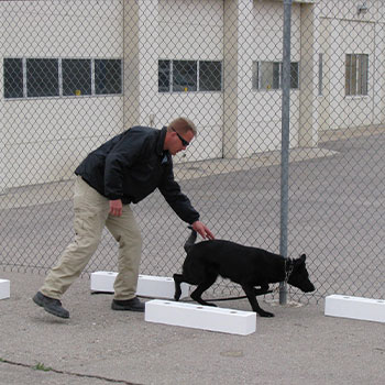 K-9 Detector Dog Training