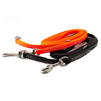 1/2in BioThane Prong Collar Leash