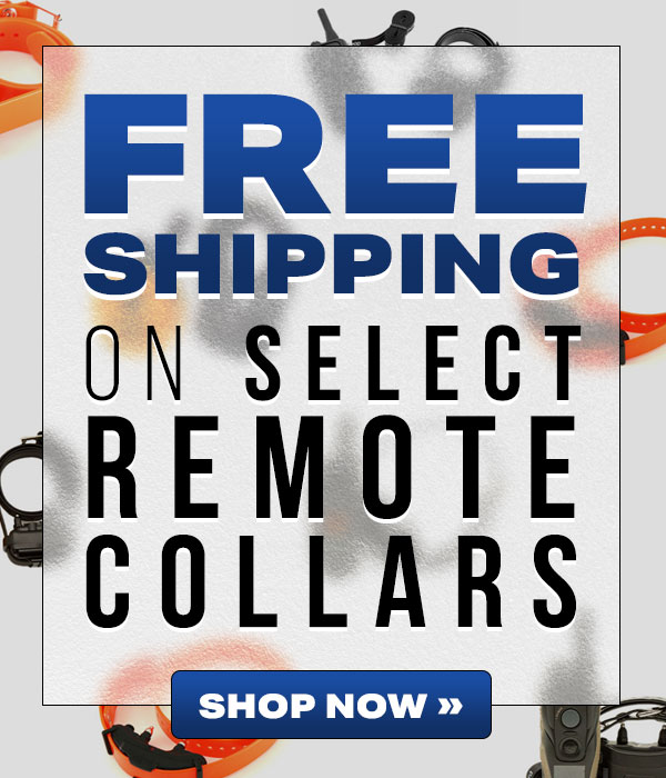 Free Shipping on Select Remote Collars