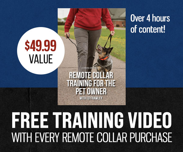 Free Training Video with purchase of any Remote Collar