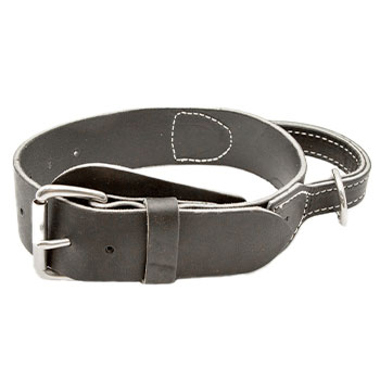 2in Leather Collar with Handle