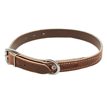 1in Flat Leather Collar