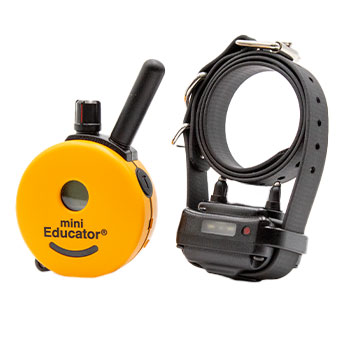 Educator ET300 Mini Remote Dog Trainer