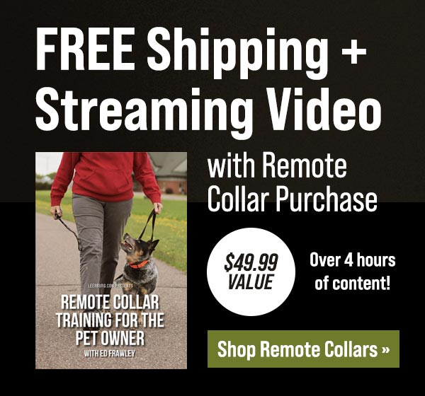 Get Free Shipping + Free Video with Every Remote Collar Purchase