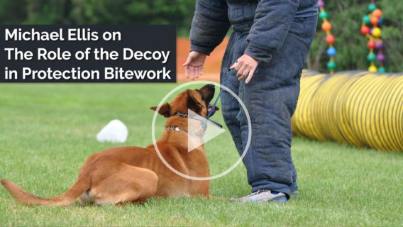 Michael Ellis on The Role of the Decoy in Protection Bitework