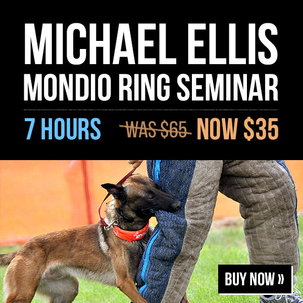 Michael Ellis Mondio Ring Seminar