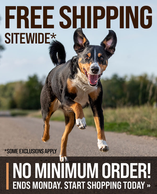 Free Shipping Sitewide* No Minimum Order