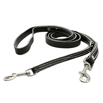 3/4in Leather Prong Collar Leash