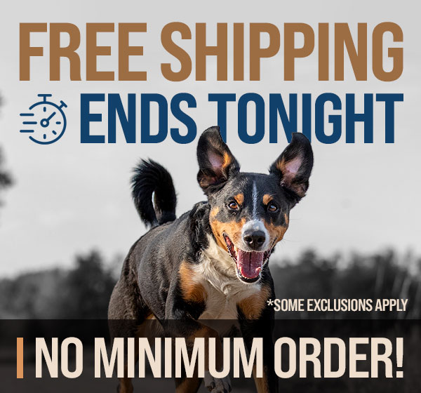 Free Shipping Ends Tonight