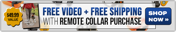 Free Video + Free Shipping with a Remote Collar Purchase