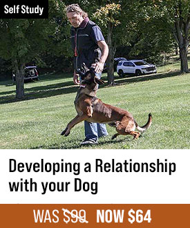 Developing a Relationship with Your Dog