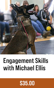 Teaching Engagement Skills with Michael Ellis