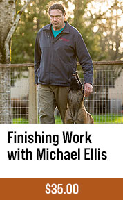 Finishing Work with Michael Ellis