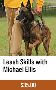 Leash Skills with Michael Ellis