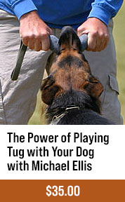 The Power of Playing Tug with Your Dog with Michael Ellis