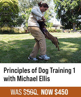 Principles of Dog Training 1