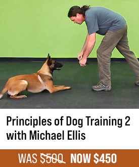 Principles of Dog Training 2