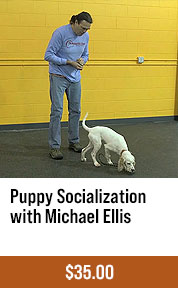 Puppy Socialization with Michael Ellis