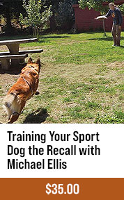 Training Your Sport Dog the Recall