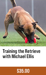 Training the Retrieve with Michael Ellis