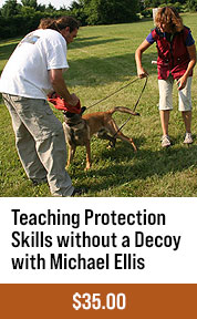 Teaching Protection Skills without a Decoy