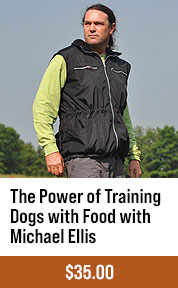 The Power of Training Dogs with Food