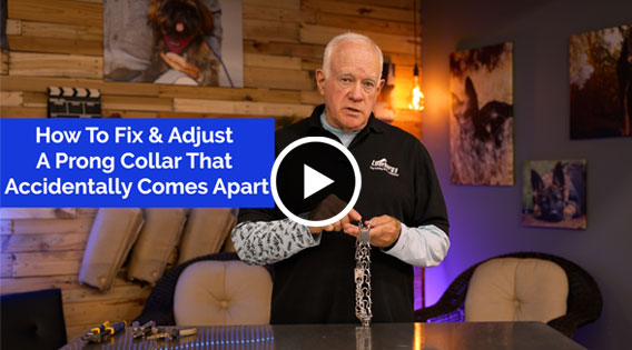 Watch Video on How to Fix & Adjust A Prong Collar That Comes Apart