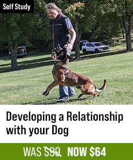 Developing a Relationship with Your Dog