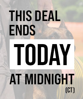 This deal ends soon!