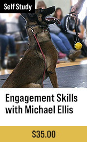 Teaching Engagement Skills with Michael Ellis